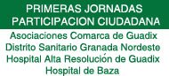 Primeras Jornadas de Participacin Ciudadana